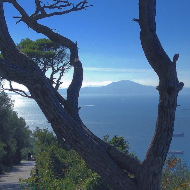 2014-11-17 12.30.20-1